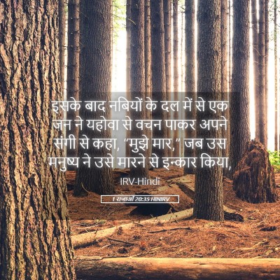 Picture 05 - 1 राजाओं 20:35 HINIRV - इसके बाद नबियों के - Bible Verse Picture