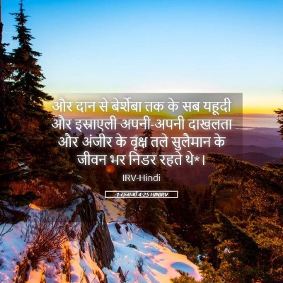 Picture 05 - 1 राजाओं 4:25 HINIRV - और दान से बेर्शेबा - Bible Verse Picture