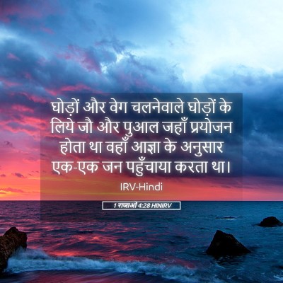 Picture 05 - 1 राजाओं 4:28 HINIRV - घोड़ों और वेग - Bible Verse Picture
