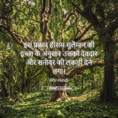 Picture 05 - 1 राजाओं 5:10 HINIRV - इस प्रकार हीराम - Bible Verse Picture