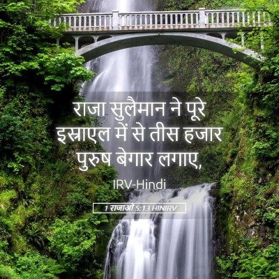 Picture 05 - 1 राजाओं 5:13 HINIRV - राजा सुलैमान ने - Bible Verse Picture