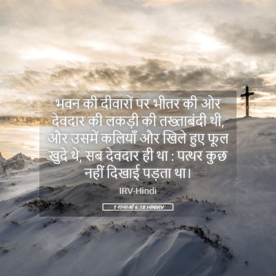 Picture 05 - 1 राजाओं 6:18 HINIRV - भवन की दीवारों पर - Bible Verse Picture