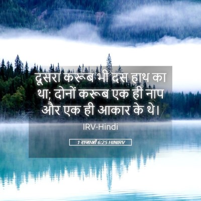 Picture 05 - 1 राजाओं 6:25 HINIRV - दूसरा करूब भी दस - Bible Verse Picture