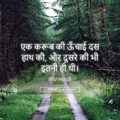 Picture 05 - 1 राजाओं 6:26 HINIRV - एक करूब की ऊँचाई दस - Bible Verse Picture