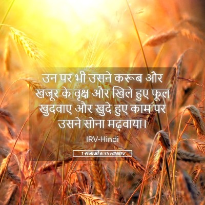 Picture 05 - 1 राजाओं 6:35 HINIRV - उन पर भी उसने करूब - Bible Verse Picture