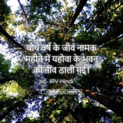 Picture 05 - 1 राजाओं 6:37 HINIRV - चौथे वर्ष के जीव - Bible Verse Picture