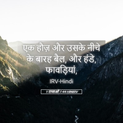 Picture 05 - 1 राजाओं 7:44 HINIRV - एक हौज़ और उसके - Bible Verse Picture