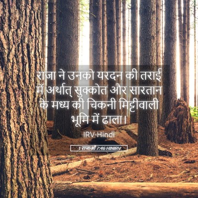 Picture 05 - 1 राजाओं 7:46 HINIRV - राजा ने उनको यरदन - Bible Verse Picture