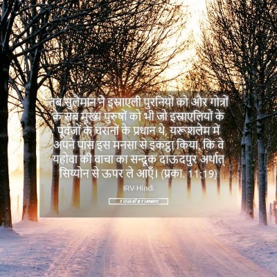 Picture 05 - 1 राजाओं 8:1 HINIRV - तब सुलैमान ने - Bible Verse Picture