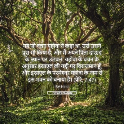 Picture 05 - 1 राजाओं 8:20 HINIRV - यह जो वचन यहोवा ने - Bible Verse Picture