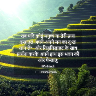 Picture 05 - 1 राजाओं 8:38 HINIRV - तब यदि कोई मनुष्य - Bible Verse Picture