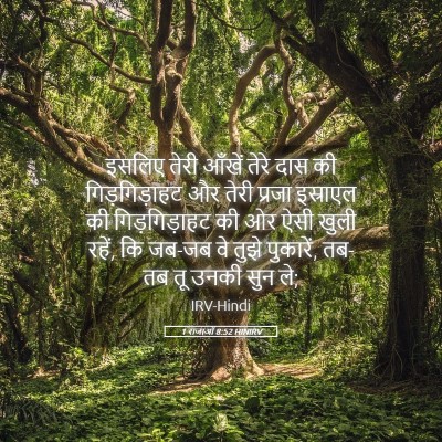 Picture 05 - 1 राजाओं 8:52 HINIRV - इसलिए तेरी आँखें - Bible Verse Picture
