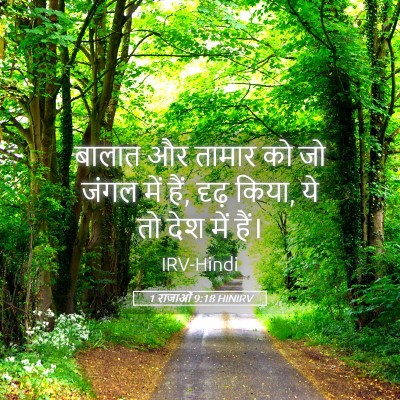 Picture 05 - 1 राजाओं 9:18 HINIRV - बालात और तामार को - Bible Verse Picture