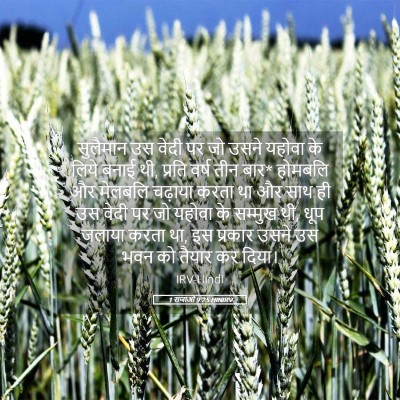 Picture 05 - 1 राजाओं 9:25 HINIRV - सुलैमान उस वेदी पर - Bible Verse Picture
