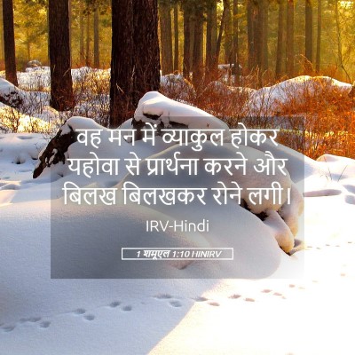 Picture 05 - 1 शमूएल 1:10 HINIRV - वह मन में व्याकुल - Bible Verse Picture