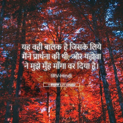Picture 05 - 1 शमूएल 1:27 HINIRV - यह वही बालक है - Bible Verse Picture