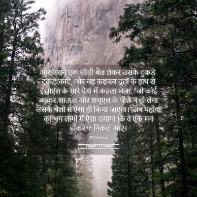 Picture 05 - 1 शमूएल 11:7 HINIRV - और उसने एक जोड़ी - Bible Verse Picture