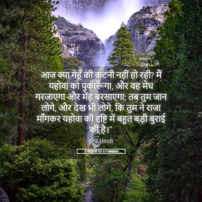 Picture 05 - 1 शमूएल 12:17 HINIRV - आज क्या गेहूँ की - Bible Verse Picture