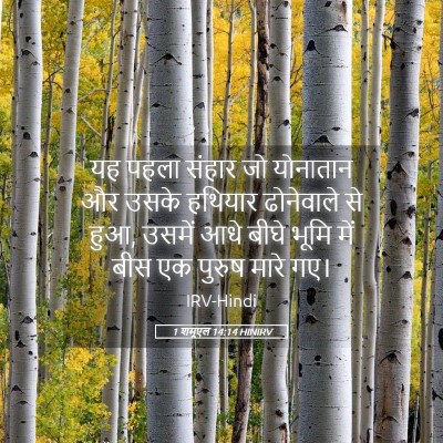 Picture 05 - 1 शमूएल 14:14 HINIRV - यह पहला संहार जो - Bible Verse Picture