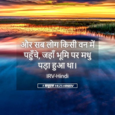 Picture 05 - 1 शमूएल 14:25 HINIRV - और सब लोग किसी वन - Bible Verse Picture
