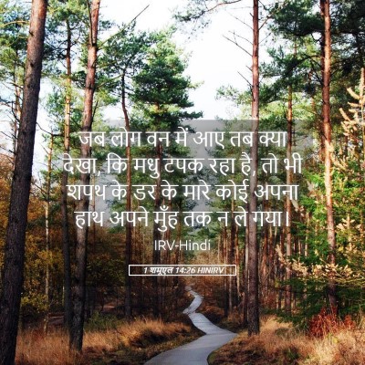 Picture 05 - 1 शमूएल 14:26 HINIRV - जब लोग वन में आए तब - Bible Verse Picture