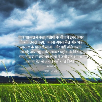 Picture 05 - 1 शमूएल 14:34 HINIRV - फिर शाऊल ने कहा, - Bible Verse Picture
