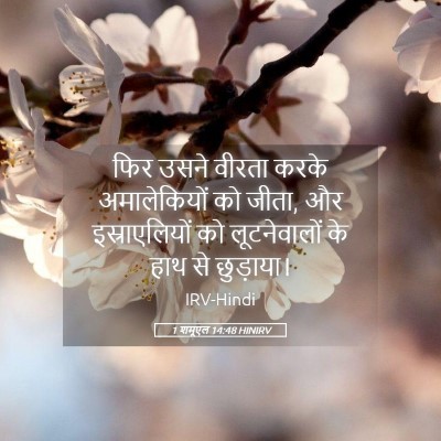 Picture 05 - 1 शमूएल 14:48 HINIRV - फिर उसने वीरता - Bible Verse Picture