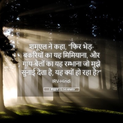 Picture 05 - 1 शमूएल 15:14 HINIRV - शमूएल ने कहा, “फिर - Bible Verse Picture