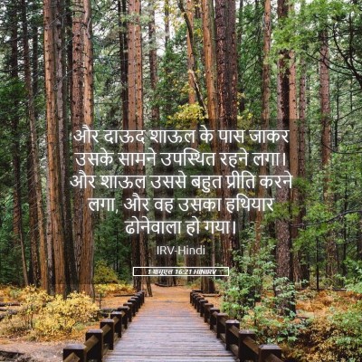Picture 05 - 1 शमूएल 16:21 HINIRV - और दाऊद शाऊल के पास - Bible Verse Picture