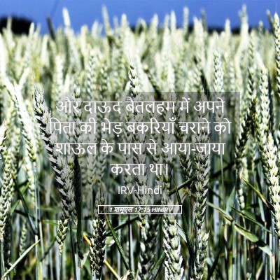 Picture 05 - 1 शमूएल 17:15 HINIRV - और दाऊद बैतलहम में - Bible Verse Picture