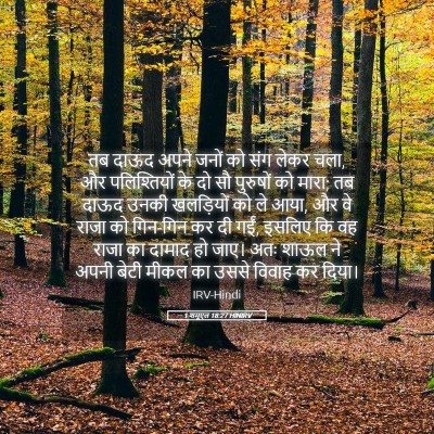 Picture 05 - 1 शमूएल 18:27 HINIRV - तब दाऊद अपने जनों - Bible Verse Picture