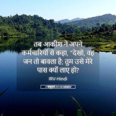 Picture 05 - 1 शमूएल 21:14 HINIRV - तब आकीश ने अपने - Bible Verse Picture