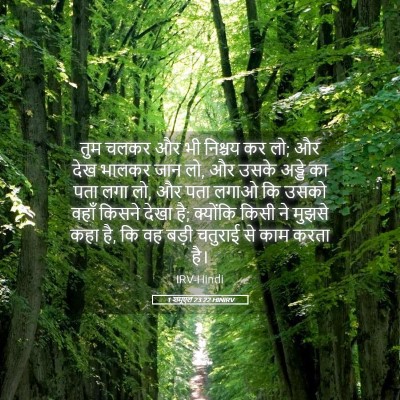 Picture 05 - 1 शमूएल 23:22 HINIRV - तुम चलकर और भी - Bible Verse Picture