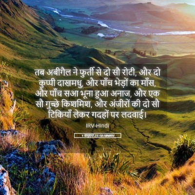 Picture 05 - 1 शमूएल 25:18 HINIRV - तब अबीगैल ने - Bible Verse Picture