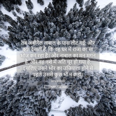 Picture 05 - 1 शमूएल 25:36 HINIRV - तब अबीगैल नाबाल के - Bible Verse Picture