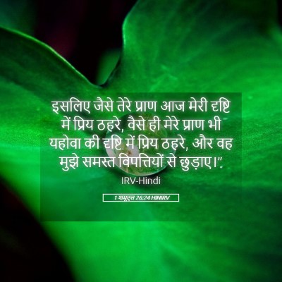 Picture 05 - 1 शमूएल 26:24 HINIRV - इसलिए जैसे तेरे - Bible Verse Picture
