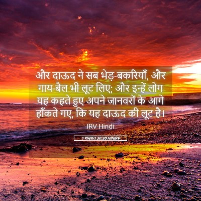 Picture 05 - 1 शमूएल 30:20 HINIRV - और दाऊद ने सब - Bible Verse Picture