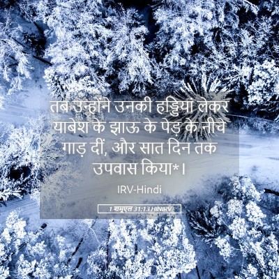 Picture 05 - 1 शमूएल 31:13 HINIRV - तब उन्होंने उनकी - Bible Verse Picture