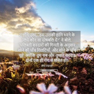 Picture 05 - 1 शमूएल 6:4 HINIRV - उन्होंने पूछा, “हम - Bible Verse Picture