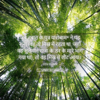 Picture 05 - 2 इतिहास 10:2 HINIRV - जब नबात के पुत्र - Bible Verse Picture