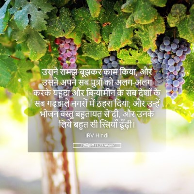 Picture 05 - 2 इतिहास 11:23 HINIRV - उसने समझ-बूझकर काम - Bible Verse Picture