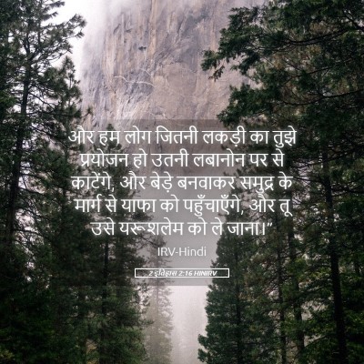 Picture 05 - 2 इतिहास 2:16 HINIRV - और हम लोग जितनी - Bible Verse Picture