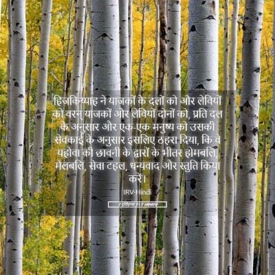 Picture 05 - 2 इतिहास 31:2 HINIRV - हिजकिय्याह ने - Bible Verse Picture