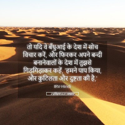 Picture 05 - 2 इतिहास 6:37 HINIRV - तो यदि वे बँधुआई के - Bible Verse Picture
