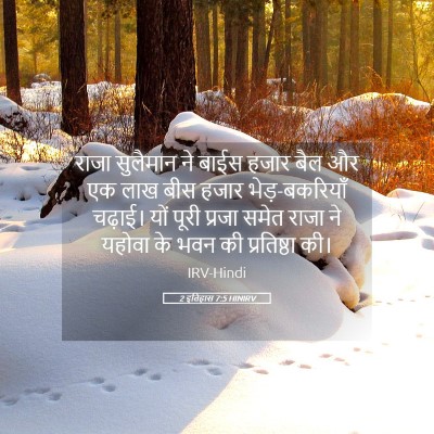 Picture 05 - 2 इतिहास 7:5 HINIRV - राजा सुलैमान ने - Bible Verse Picture