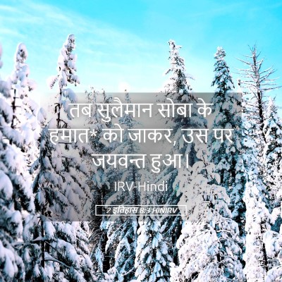 Picture 05 - 2 इतिहास 8:3 HINIRV - तब सुलैमान सोबा के - Bible Verse Picture