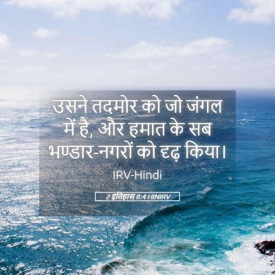 Picture 05 - 2 इतिहास 8:4 HINIRV - उसने तदमोर को जो - Bible Verse Picture