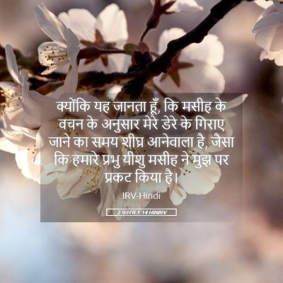 Picture 05 - 2 पतरस 1:14 HINIRV - क्योंकि यह जानता - Bible Verse Picture