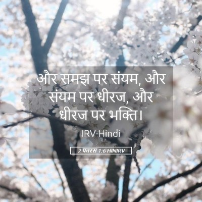 Picture 05 - 2 पतरस 1:6 HINIRV - और समझ पर संयम, और - Bible Verse Picture