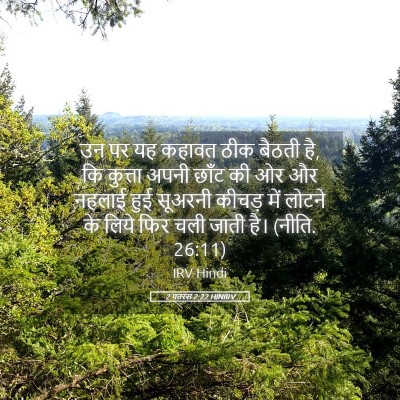 Picture 05 - 2 पतरस 2:22 HINIRV - उन पर यह कहावत ठीक - Bible Verse Picture